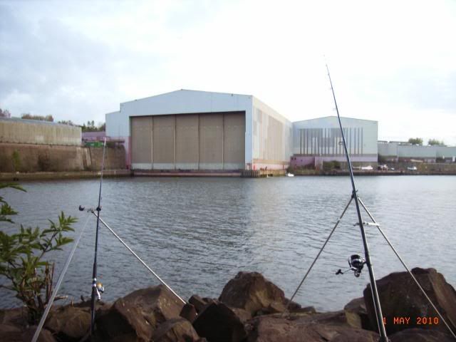 RIMG0198.jpg