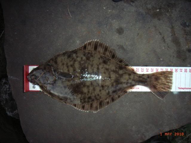 RIMG0199.jpg