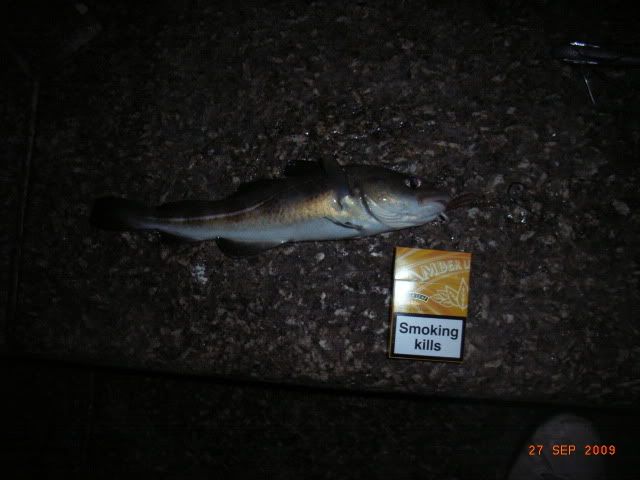 anothercodlingundersizetobaccobox.jpg