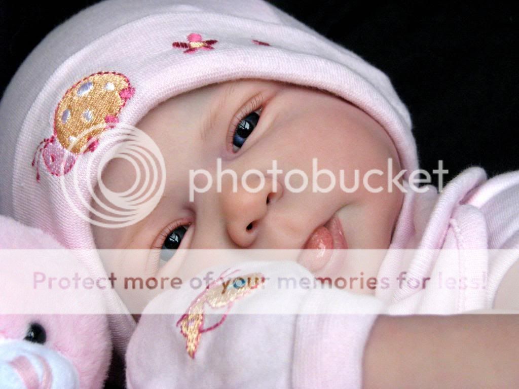 Reborn Baby Girl Gorgeous "Annabella" Donna RuBert "Cuddles"