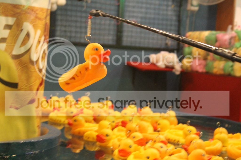  photo IMG_8912_zpsllvwfew1.jpg