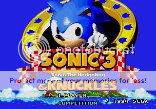 Sonic The Hedgehog (SegaMegaDrive/Genesis)
