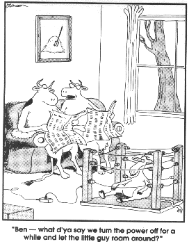 farside 19