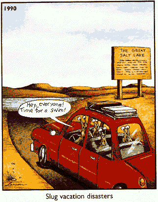 farside 12